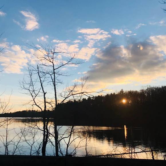 Meet your Posher, Marcela - Picture 1 of 1